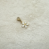 CHARM