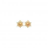 BOUCLES PLAQU OR