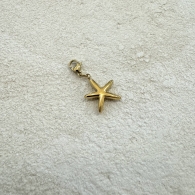 CHARM