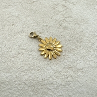 CHARM