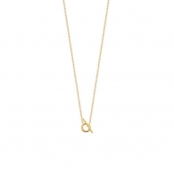 COLLIER PLAQU OR