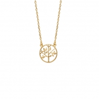 COLLIER PLAQU OR